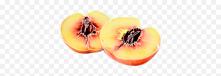 Peach Png Transparent Image Arts - Fruit,Peach Png