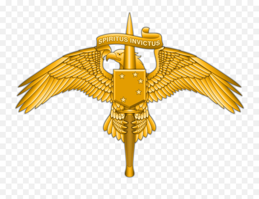 Marine Raiders To Receive New Badge U2014 Raider Recruiting - Marsoc Badge Png,Raiders Png