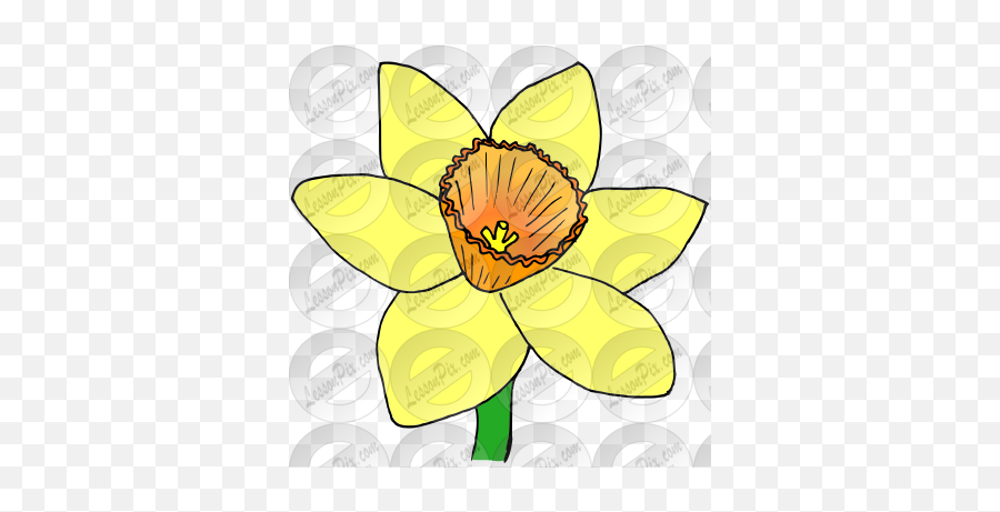 Lessonpix Mobile - Water Lilies Png,Daffodil Png