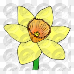 Lessonpix Mobile - Water Lilies Png,Daffodil Png