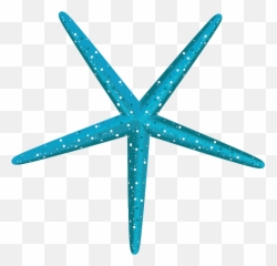 Postpartum Resource Center Of New York - Illustration Png,Blue Starfish Logo