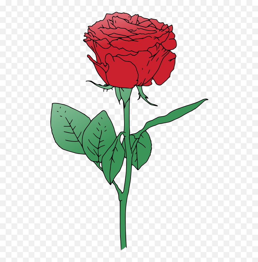 Rose Clipart Single - Rose Flower Png Vector,Single Rose Png