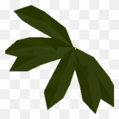 Kelp - Hemp Png,Kelp Png