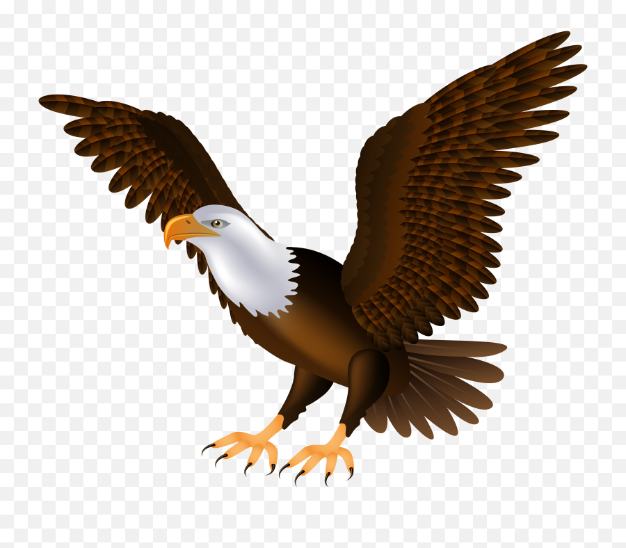 Bald Eagle Png Free Image All - Printable Picture Of Eagle,Prey Png