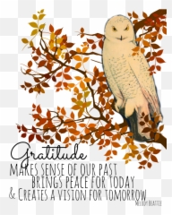 Clipart Thanksgiving Gratitude - Happy Thanksgiving Friendship Grateful png