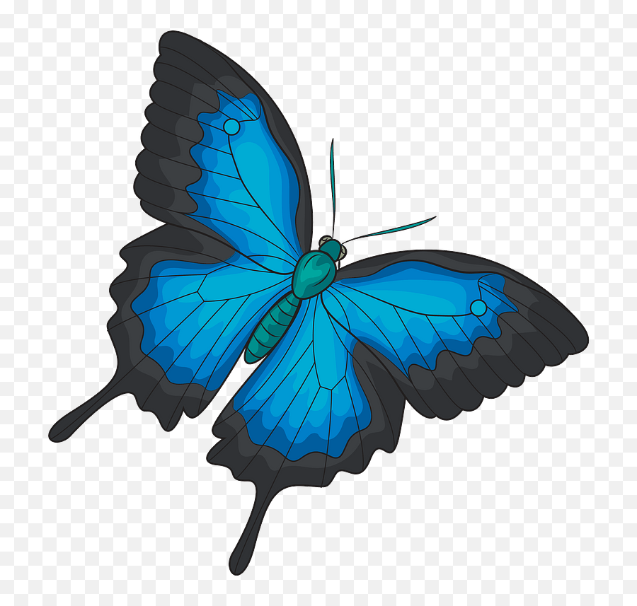 Ulysses Butterfly Clipart Free Download Transparent Png - Ulysses Butterfly Png,Butterfly Transparent Png