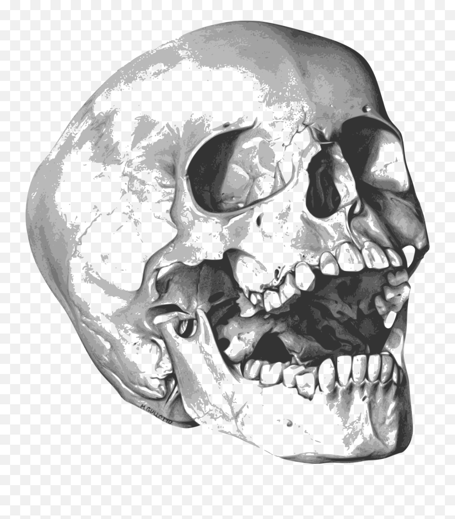 Bones Halloween Skeleton Drawing Free - Copyright Free Royalty Free Skeleton Png,Spooky Skeleton Icon