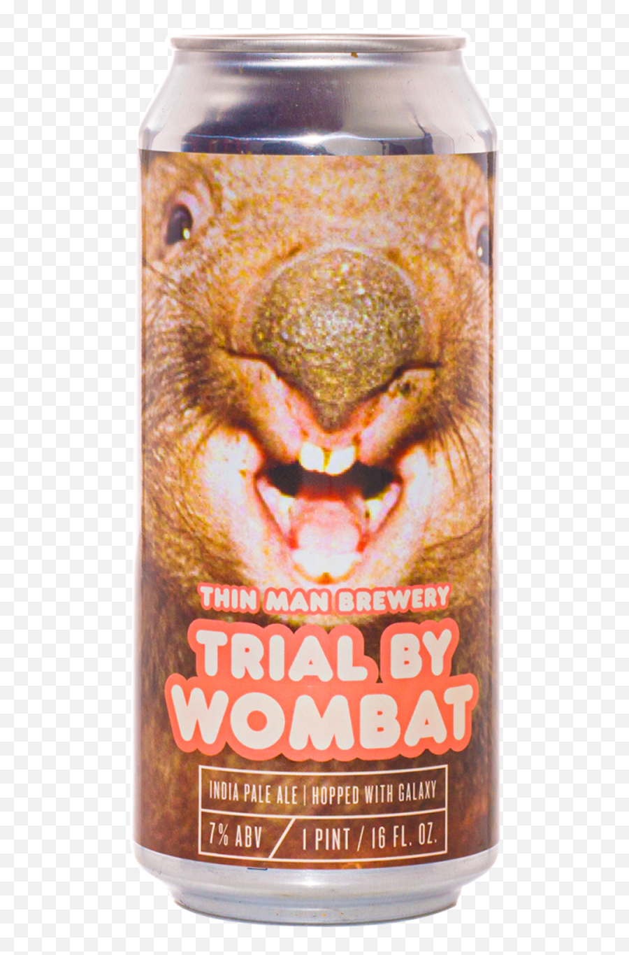Thin Man Trial By Wombat - Thin Man Trial By Wombat Png,Wombat Icon