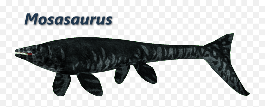 Mosasaurus Png - Fishes,Zoo Tycoon 2 Icon