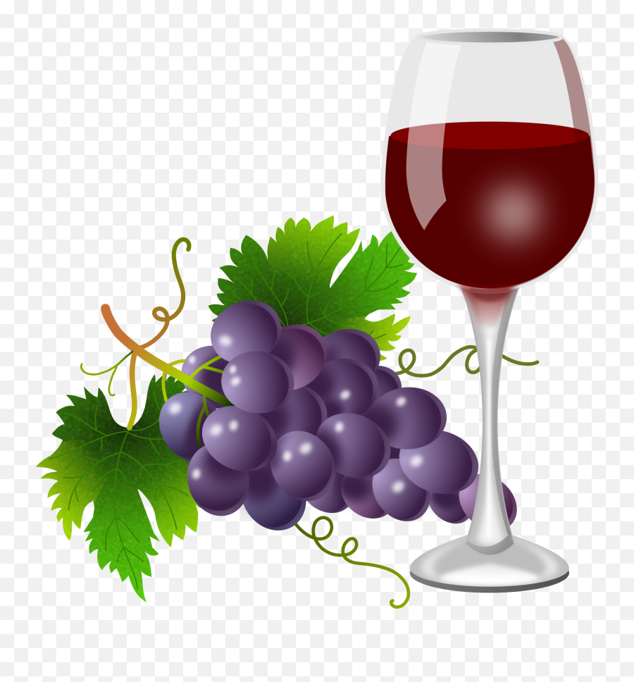 Wine Grapes Clipart Png