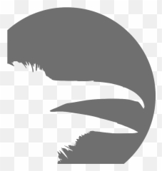 A Nationwide Survey Nightmares And Worries Ravenu0027s Eye - Hair Design png