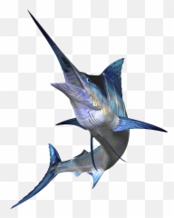 Png Sailfish Marlin Fishing Atlantic - Marlin Png,Marlin Png