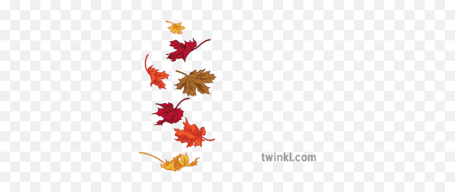 Falling Autumn Leaves General Nature Seasons Secondary - Illustration Png,Falling Leaves Transparent