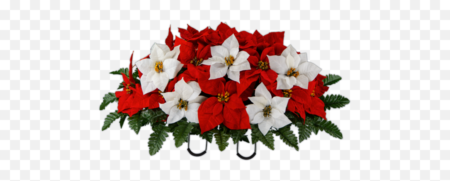 Red And White Poinsettia - Poinsettia Png,Poinsettia Png