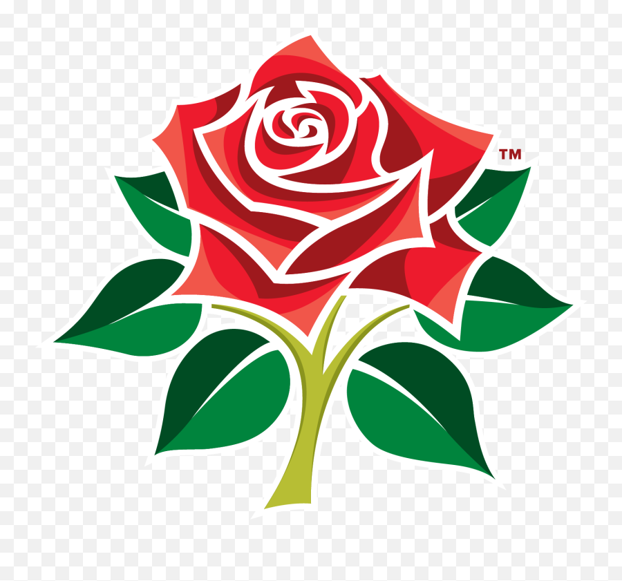Durham Women V Lancashire Cricket Club - Lancashire Cricket Red Rose Png,Cricket Png