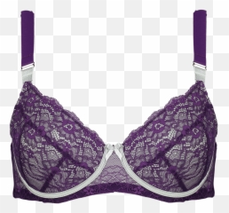 Download Sage Png - Brassiere,Sage Png