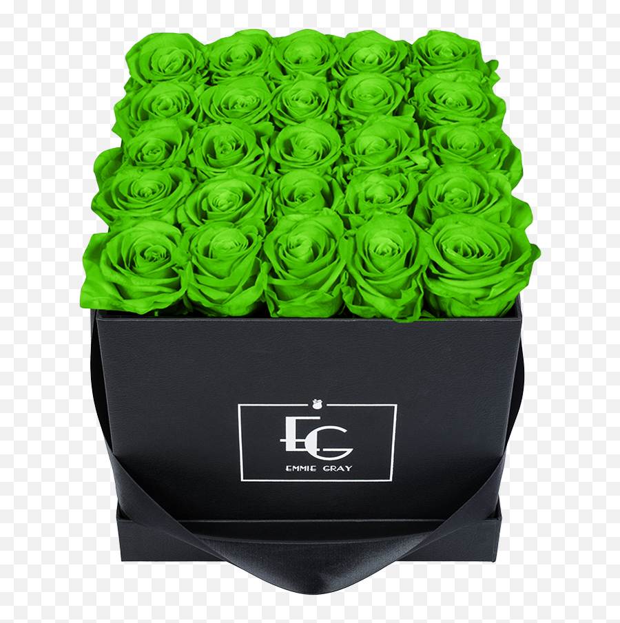 Black Flowerbox With Infinity Roses - Thread Png,Green Glow Png