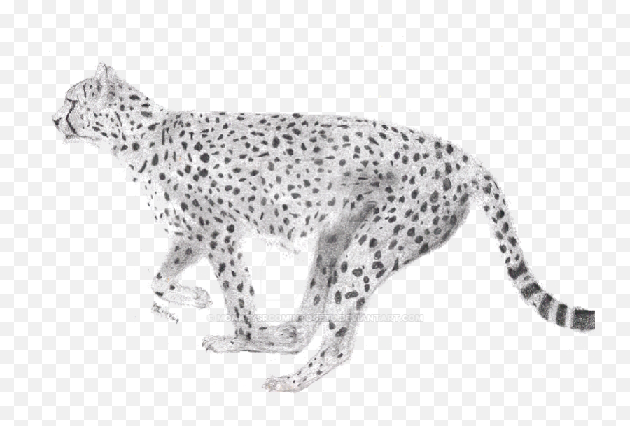 Running Cheetah Png Image With Transparent Background Arts - Jaguar,Cheetah Png