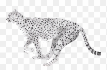 Running Cheetah Png Image With Transparent Background Arts - Jaguar,Cheetah Png