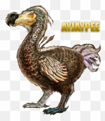 Ark Survival Evolved Renders - Imgur Dodo Ark Survival Evolved Art Png,Ark Survival Evolved Png