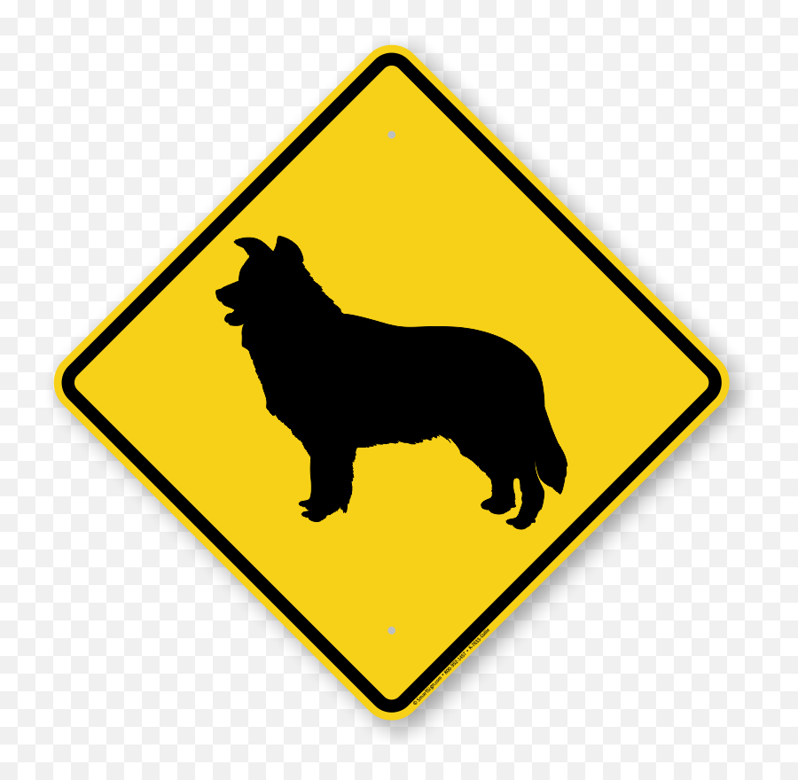 Border Collie Dog Symbol Sign Guard Beware - Border Collie Guard Dog Png,Border Collie Png