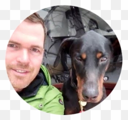 Dogs Crossing U2013 Canine Training And Pet Services Greater - Dobermann Png,Gabe The Dog Png