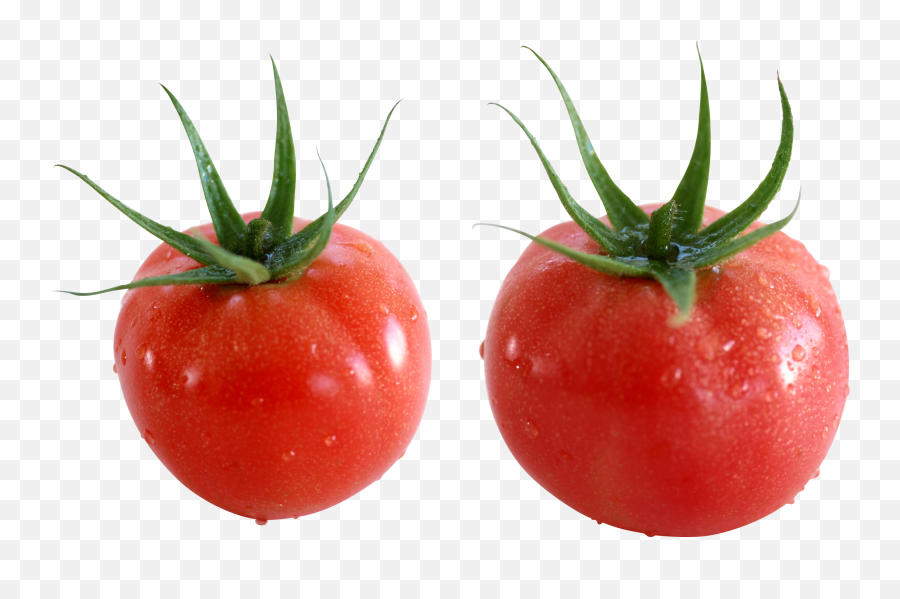Free Tomato Transparent Download - Tomate Cherry Png,Tomatoe Png