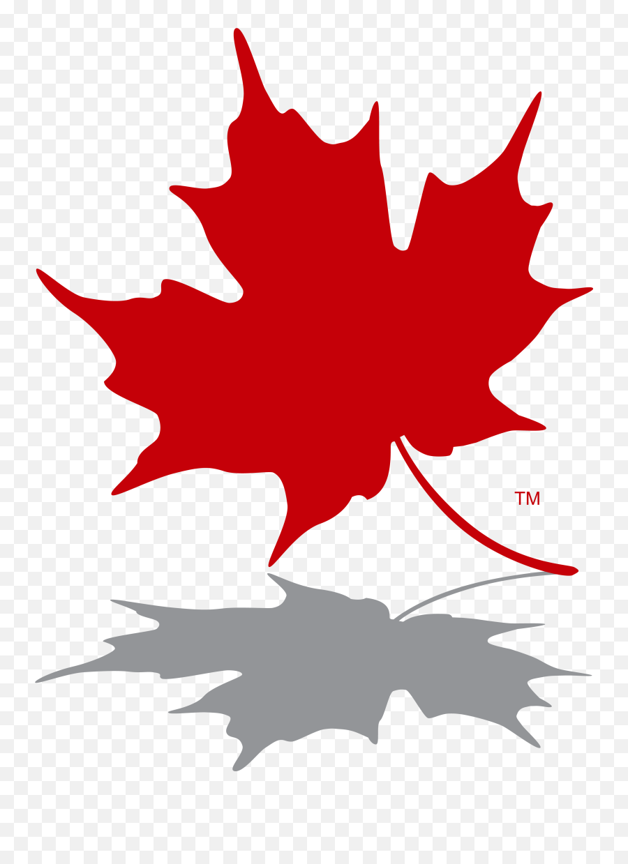 Maple Leaf Logo Red - Maple Leaf Logo Png Clipart Full Maple Leaf Canada Logo,Toronto Maple Leafs Logo Png