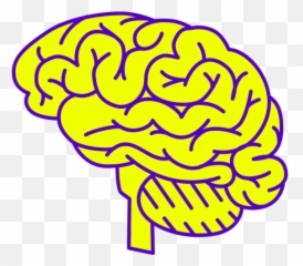 Drawing Of A Brain - Yellow Full Size PNG Download Optical Illusions Art