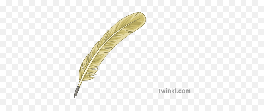 Quill Illustration - Twinkl Calligraphy Png,Quill Png