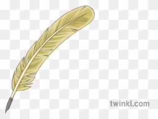 Quill Illustration - Twinkl Calligraphy png