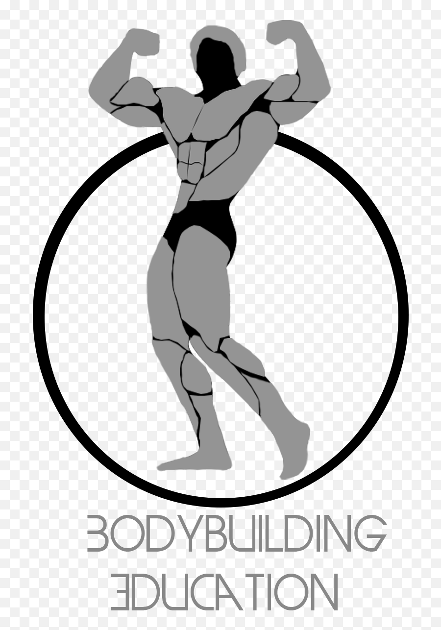 Arnold Schwarzenegger Bodybuilding - Logo Arnold Schwarzenegger Png,Arnold Schwarzenegger Png
