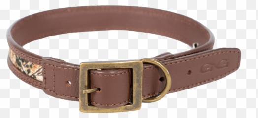 Signature Dog Collar - Solid Png,Dog Collar Png