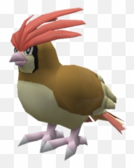 Download Pidgey Pidgeotto Pidgeot - Waxwing Png,Pidgey Png