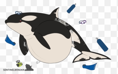Killer Whale Clipart Big - Cartoon Orca png
