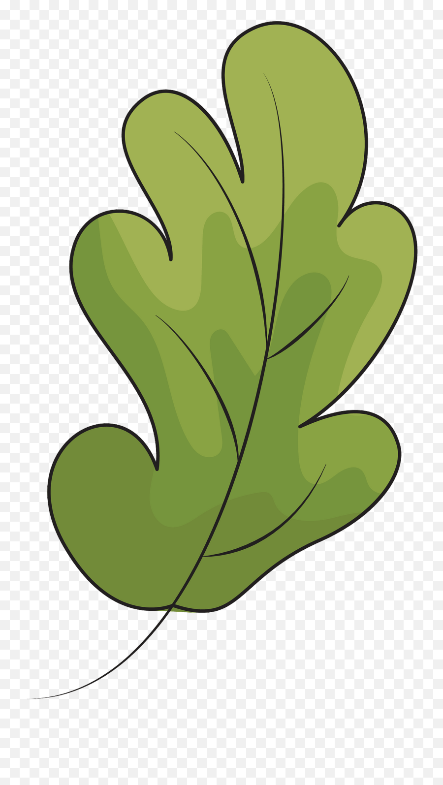 Oak Leaf Clipart - Oak Leaf Clip Art Png,Oak Leaf Png