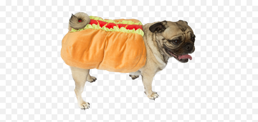 Pug Hot Dog Dachshund For Halloween - Dog Clothes Png,Pug Transparent
