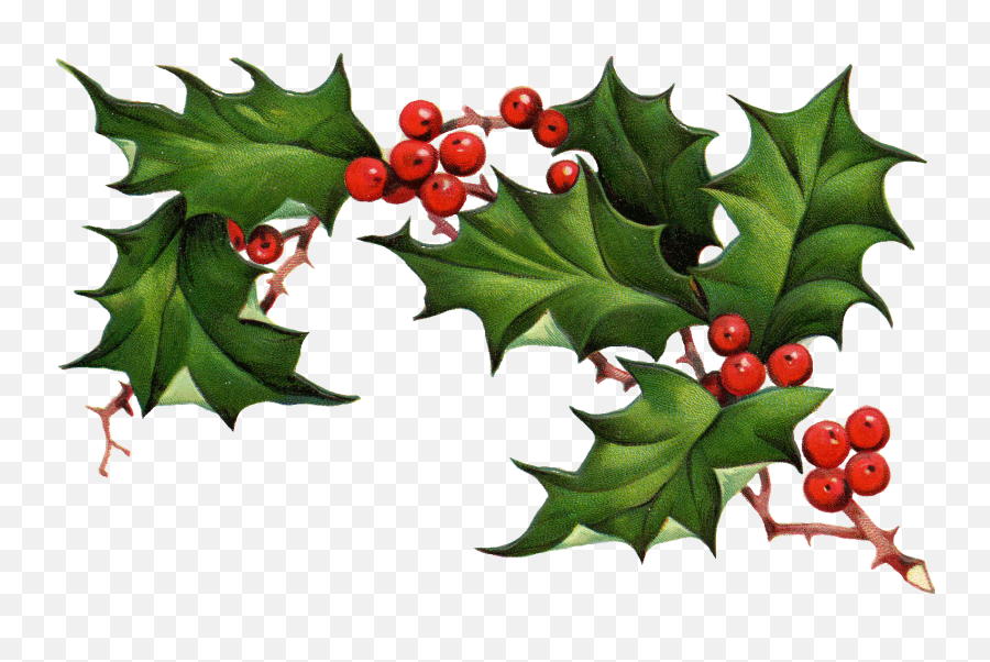 Christmas Holly Border Free Clipart - Christmas Holly Free Clip Art Png,Holly Border Png