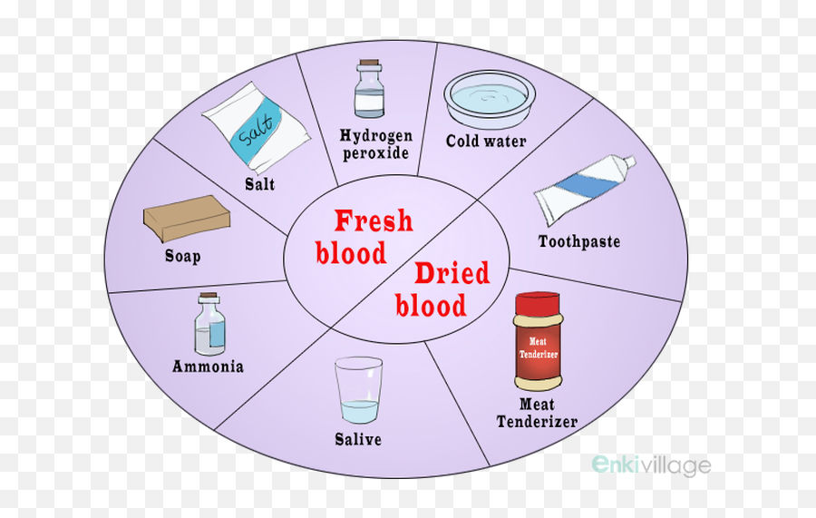 Download How To Get Blood Out Of Clothes Always Go With Cold - Get Blood Out Of Clothes Png,Bloodstain Png