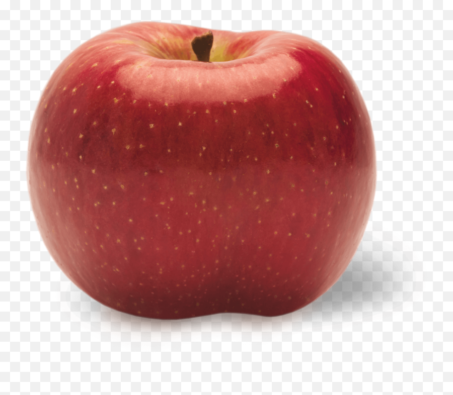Varieties Archive - Fat Juicy Apple Png,Apple Slice Png