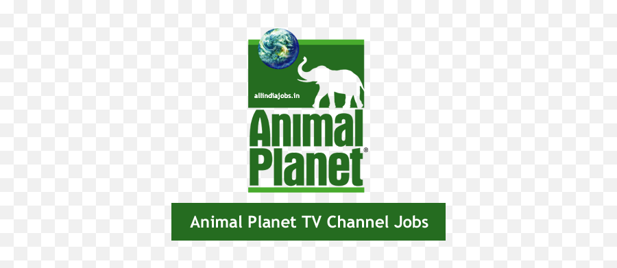 Animal Planet Tv Channel Jobs 2017 - Animal Planet Png,Animal Planet Logo  Png - free transparent png images 