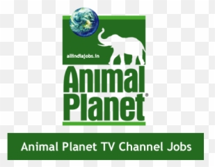 Animal Planet Tv Channel Jobs 2017 - png