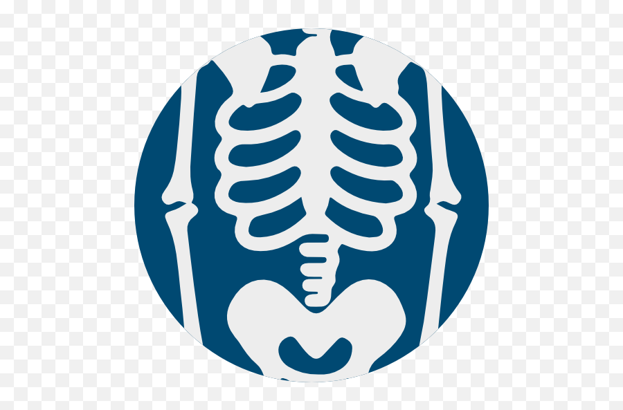 Skeleton Terror Spooky Scary - Skeleton Anatomy Icon Png,Spooky Skeleton Icon