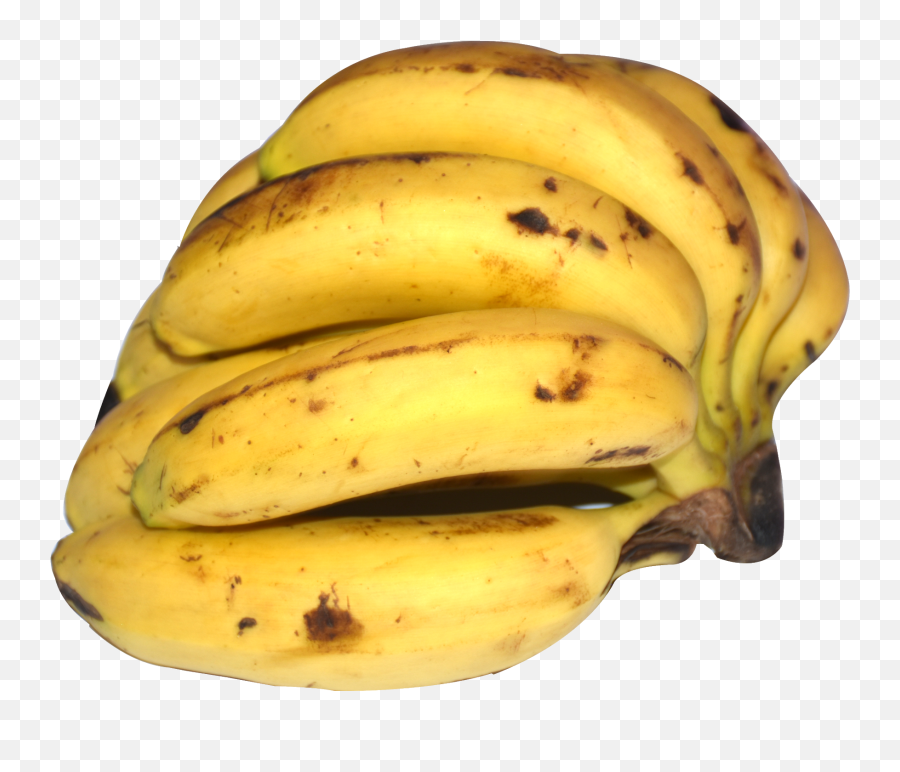 Banana Png Image - Saba Banana,Bananas Icon