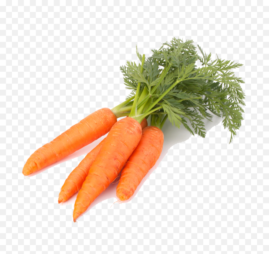 Download Carrot Image Png - Roots That We Eat,Carrot Transparent Background