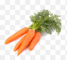 Download Carrot Image Png - Roots That We Eat,Carrot Transparent Background
