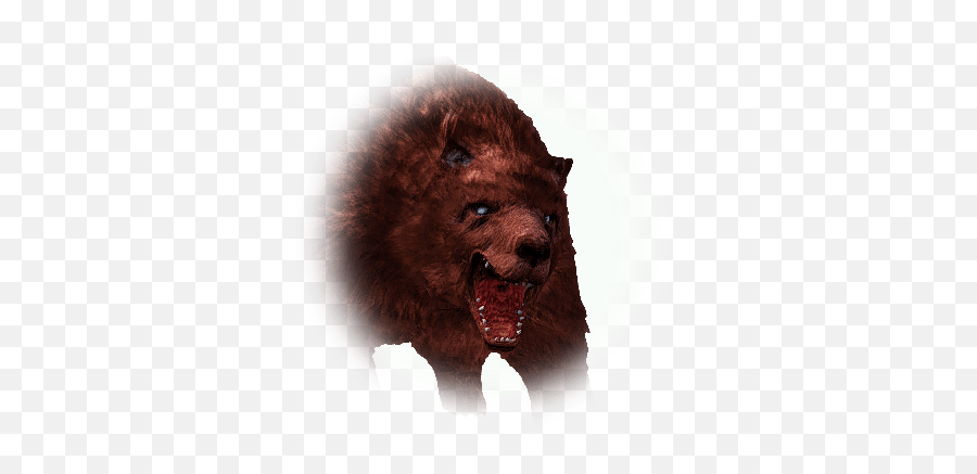 Kamasylvia Brown Bear - Bdo Codex Bdo Png,Grizzly Icon