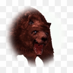 Kamasylvia Brown Bear - BDO Codex Bdo png