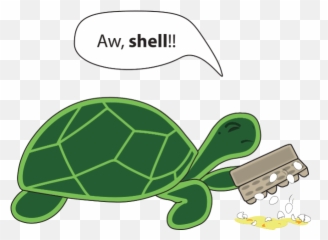 Turtle Puns 29 Different Ways To Be A Nerd - All png