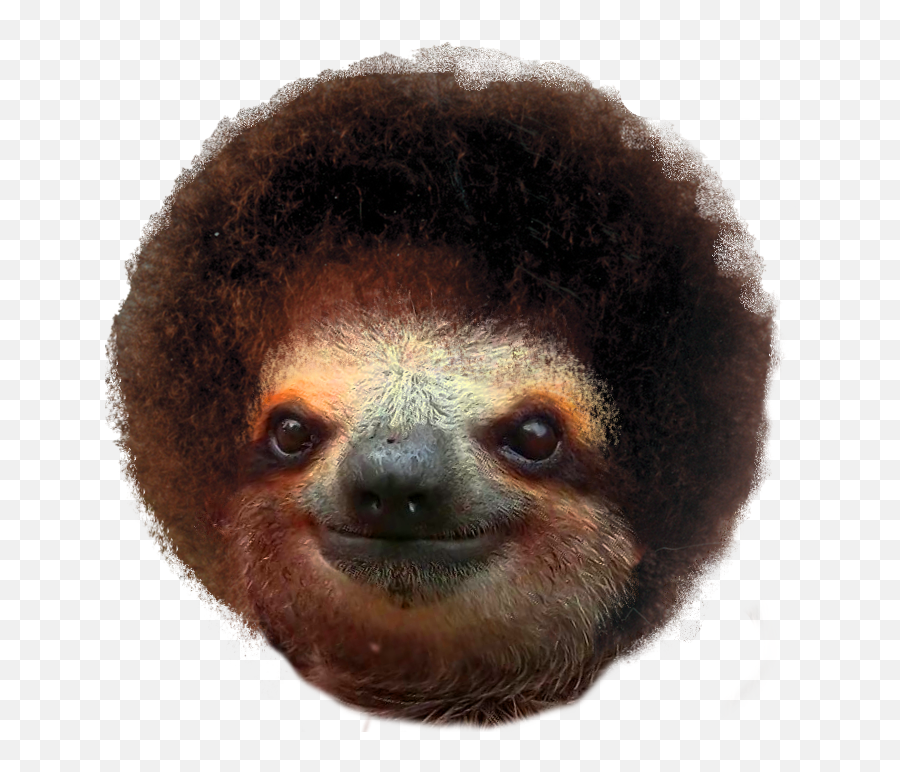 Sloth Ross - Bob Ross And Sloths Full Size Png Download Png Sloth,Sloth Png
